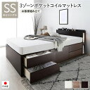 【P5倍】 〔お客様組み立て〕 チェストベッド 通常床板タイプ 通常丈 セミシングル ブラウン 3ゾーンポケットコイルマットレス付 照明付(代引不可)