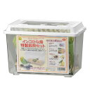 【5/10 ポイント9倍】 インコひな用 特製飼育セット (鳥用品/カゴ)