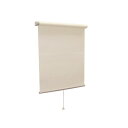 モダン ロールスクリーン (無地防炎 60cm×180cm ココ) 日本製 巻取りスピード調整機能付き 『ティオリオ』(代引不可)(3)