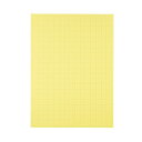 【P7倍!+5のつく日】 (まとめ) TANOSEE 模造紙(プルタイプ) 本体 788×1085mm 50mm方眼 クリーム 1ケース(20枚) (×5セット)