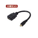 【4/20タイムセール!ポイント9倍】 変換名人 10個セット microHDMI変換ケーブル 20 HDMIB-MC2G2X10