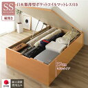 【タイムセール ポイント5倍】 〔組立設置サービス付き〕 収納 ベッド 通常丈 セミシングル 跳ね上げ式 縦開き 深さ37cm ミドルタイプ 日本製薄型ポケット...