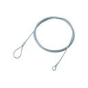 【タイムセール ポイント5倍】 (まとめ) エレコム ワイヤー 3.8mm×2.0mESL-W2038 1本 (×10セット)