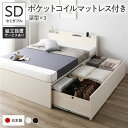 【タイムセール ポイント5倍】 〔組立設置付き〕 収納 ベッド セミダブル 国産薄型ポケットコイルマットレス付き ホワイト AAA 引き出し 棚付き 宮付き 日...