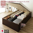 【タイムセール ポイント5倍】 〔組立設置サービス付き〕 収納 ベッド 通常丈 セミダブル 跳ね上げ式 縦開き 深さ44cm ハイタイプ 日本製薄型ポケットコイ...