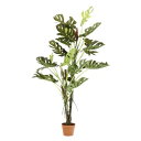【タイムセール ポイント5倍】 観葉植物 造花 約幅80cm スプリット 6号鉢対応 22 52667 インテリアグリーン リビング 店舗 ショップ お店