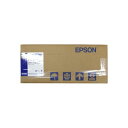  (まとめ）エプソン EPSON プロフェッショナルプルーフィングペーパー 329mm×30.5m PXMCA3NR15 1本