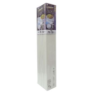 〔6個セット〕 風呂ふた 風呂フタ 70cm×120cm用 薄型 折りたたみ式 フラット形 コンパクト 裏面防滑加工 SGマーク認定 浴室