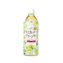 【ポイント★7倍! GW最終日買い物忘れセール】 サーフビバレッジ マスカットグリーンティー 500ml×24本（1ケース） ペットボトル【代引不可】