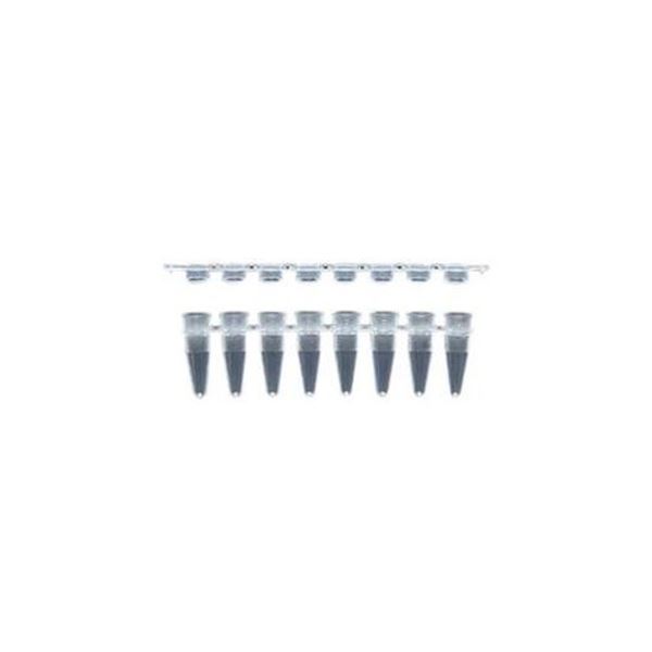 【ポイント8倍+マラソン】 PCR用8連チューブ(フラットキャップ) 0.2mL BRG-FC-01(120ストリップ)