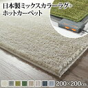 送料無料 ホットカーペット カバー 洗える ミックスカラーホットカーペット・カバー 〔ルーナ〕 2畳(200x200cm)+ホットカーペット本体セット 正方形 2畳 二畳 北欧 モダン シンプル 無地 ミックスシャギー 滑り止め ラグ 防ダニ 電気カーペット あったか