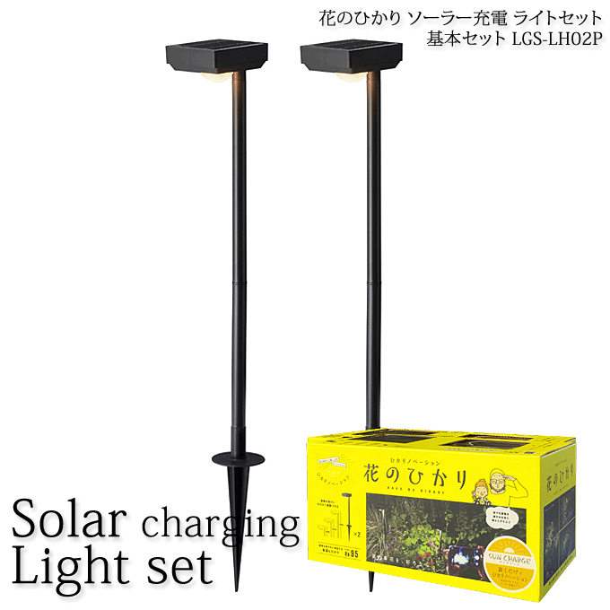 P7ܡ+㤤 ֤ΤҤ ܥå ҤΥ١ DIY 顼ť饤  ץ󥿡 饤ȥå LGS-LH02P