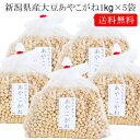 【送料無料】新潟県産 大豆 あやこがね 味噌用好適大豆 1kg×5袋入り