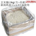 【送料無料】業務用 玄米麹 新潟県産コシヒカリ 五ぶつき玄米使用 10kgダンボール入り 生麹 冷凍