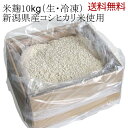 【送料無料】 業務用 米麹 10kg 生麹 冷凍 ダンボール入り（甘酒の麹や塩麹作り、味噌作りなどに最適です）