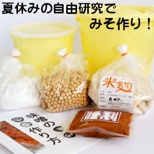 手作り味噌キット 夏休み 自由研究 版 出来上り1.6kg用 手作り 味噌 味噌作り キット