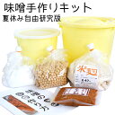 味噌作りキット 夏休み 自由研究 版 出来上り1.6kg用 手作り 味噌づくり 材料セット