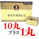 【第2類医薬品】東方牛黄清心丸 10丸+1丸