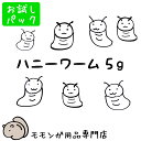 ゆうパケットOK ドライハニーワーム 5g お試し小分けパック Exotic Nutrition エキゾチックニュートリション 虫エサ おやつ フード エサ 餌...