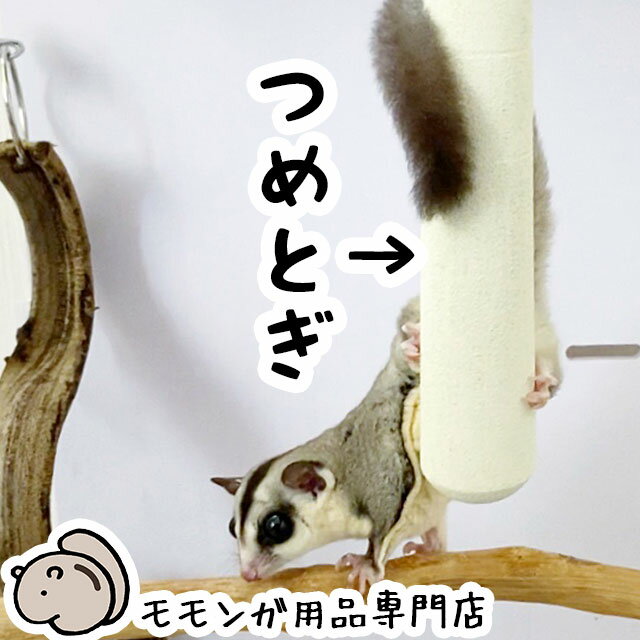 ワイド猫つめみがき 詰替え2個入 (株)コンビ