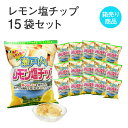 瀬戸内レモン塩チップ 120g入×15袋セット フルーツ 果物 お菓子 駄菓子 おやつ スナック菓子 お土産 手土産 お取り寄せ 特産品 箱買い 箱売り セット...
