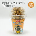 赤穂 塩キャラメルポップコーン 80g入×10個セット お菓子 駄菓子 おやつ ギフト 手土産 お取り寄せ 特産品 箱売り