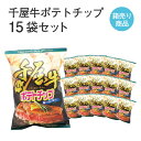 千屋牛ポテトチップ 100g入×15袋セット お菓子 駄菓子 おやつ スナック菓子 お土産 手土産 お取り寄せ 特産品 箱買い 箱売り セット売り