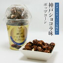 神戸ショコラ味ポップコーン 80g入 1個 チョコ カカオ ギフト お土産 手土産 贈り物 プレゼント お取り寄せ 特産品