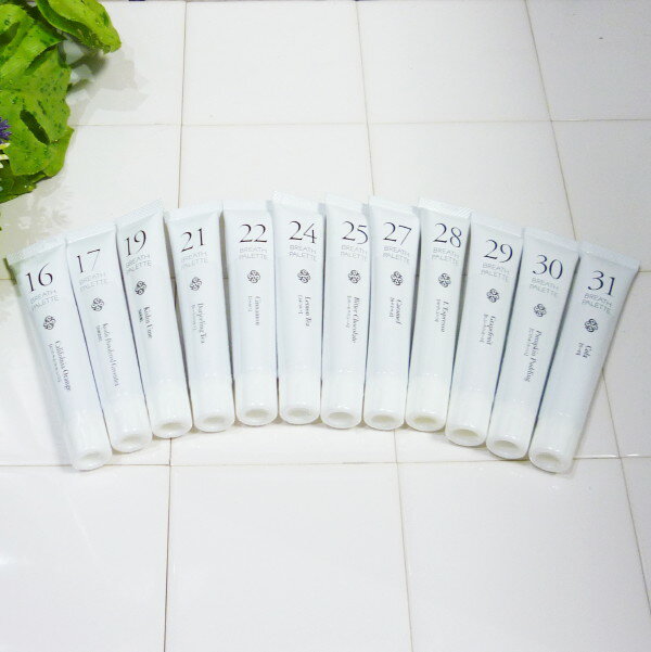 MJ ブレスパレット 25g <NO.16〜31 12種類から選択>