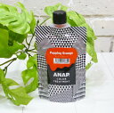 [送料無料(沖縄、離島除く)] ANAP カ