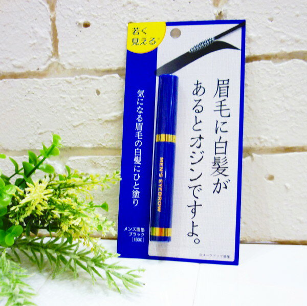 【ネコポス便（追跡可能メール便)につき送料無料!!】メンズ眉墨 ブラック【メンズ眉墨、眉墨、眉毛、眉マスカラ、眉毛白髪隠し、メンズアイブロウ、メンズまゆずみ、メンズ　まゆずみ、メンズマユズミ、メンズ　マユズミ、眉ずみ、まゆ墨】