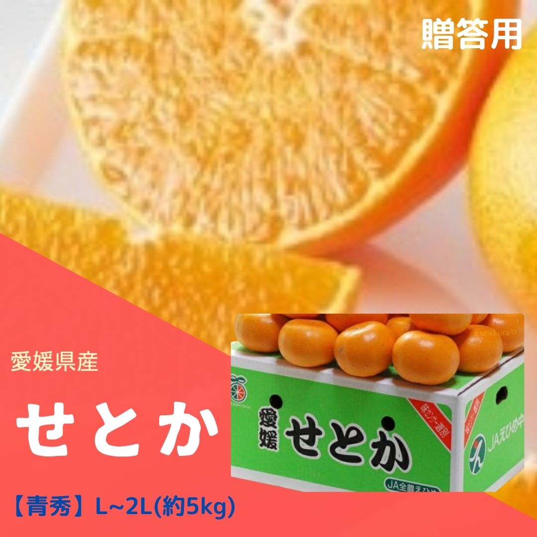 楽天市場】せとか 5kg 2lの通販 楽天市場】せとか 5kg 2lの通販