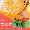 愛媛県産 せとか 【訳あり!】 約4kg (サイズおまかせ)【送料無料...(4)