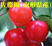 山形産佐藤錦 1箱1kg（500g）×2 【手詰め】 【smtb-kd】