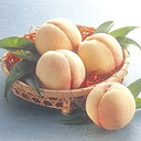 ★予約販売★川中島白桃・ロイヤル(4個〜6個)約1.4kg 「岡山県産」【送料無料但し※別途北海道・沖縄1500円
