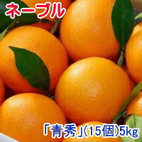 みかん 越冬完熟葉付きネーブルオレンジ　「青秀」（約5kg） 15〜18個 JAかがわ