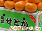 「発送は2/22日から」みかん せとか 【訳あり・〇等級】 約5kg 3L〜4L ※『訳あり』商品の為、返品・交換クレーム一切不可※JAえひめ ふるさと物産品