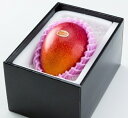 ★完熟マンゴー B品 4L（510g以上×1個） 「情熱みやざきブランド！」 ふるさと物産品