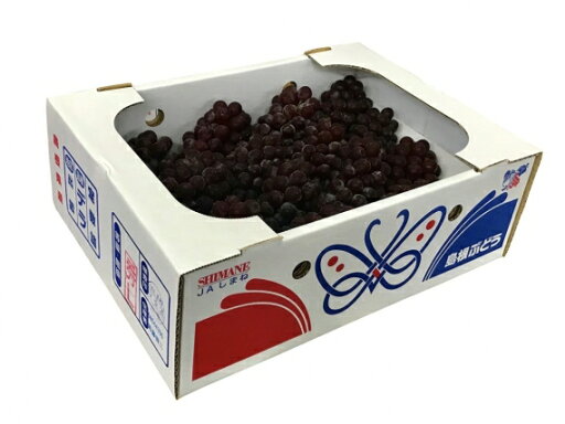 予約販売!発送は6月上旬から。デラウェア 【赤秀】 L 約2kg JAしまね産 ふるさと物産品 予約販売!発送は6月上旬から。デラウェア 【赤秀】 L 約2kg JAしまね産 ふるさと物産品