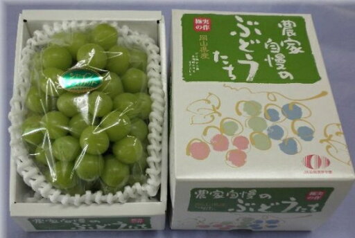 ★予約販売★【産直品】ぶどう岡山産 シャインマスカット 1房 (900g以上)【 送料無料 但し※別途北海道・沖縄送料1,500円】 ★予約販売★【産直品】ぶどう岡山産 シャインマスカット 1房 (900g以上)【 送料無料 但し※別途北海道・沖縄送料1,500円】