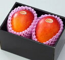 予約販売!★完熟マンゴー B品 2L(300g以上×2個) 「情熱みやざきブランド!」【送料無料 ※但し北海道・沖縄 別途送料1,500円】