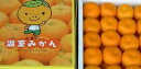 高知県「山北産温室栽培ハウスみかん」赤秀Sサイズ(2.5kg...