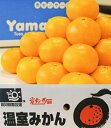 みかん 山北産温室栽培ハウスみかん【緑秀】2L(5kg) 高知県 甘さ抜群!【送料無料 ※但し北海道・沖縄別途送料1,500円】
