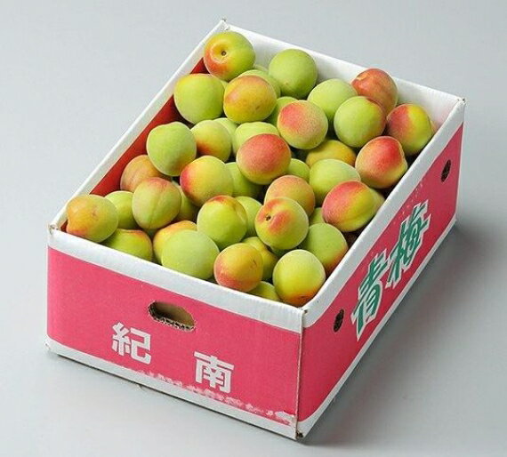 紀州 南高梅 【秀品】 2Lサイズ 約5kg 和歌山県産 ※梅の箱が写真と異なる事があります。【送料無料 ※但し北海道・沖縄　別途送料1,500円】