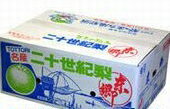 「JA鳥取の二十世紀梨」【青秀】約10kg（Lサイズ・36個入り）果実の中で随一とも言えるジューシーさは喉の渇きを潤せるほどです。