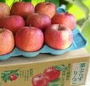 葉とらず太陽ふじりんご (9〜13個) 約3kg サンふじ 【送料無料 ※但し北海道・沖縄は送料¥1500】