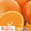 みかん 紅まどんな 【匠と極】 1.5kg...