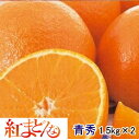みかん 紅まどんな 【青秀】 1.5kg×2(L〜2L)(7...
