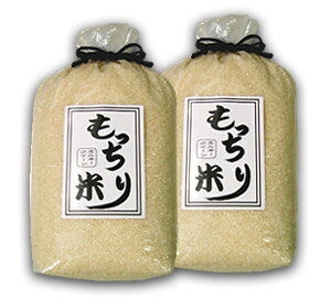 ☆もっちり米 5kg×2 岡山県産ミルキークイーン ふるさと物産品