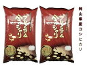 ☆プレミアム 金のシャリ（岡山県産コシヒカリ） 5kg×2 ふるさと物産品 1